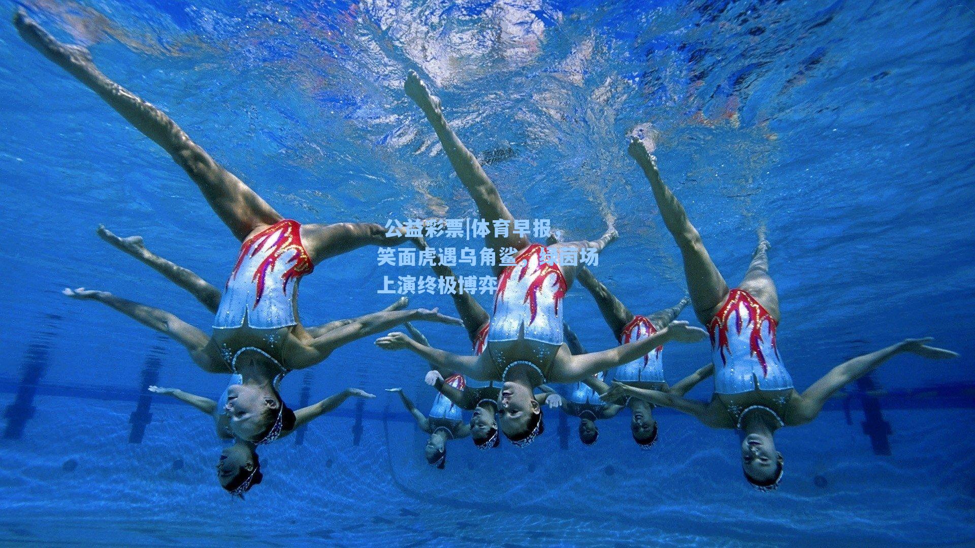 体育早报，笑面虎遇乌角鲨，绿茵场上演终极博弈