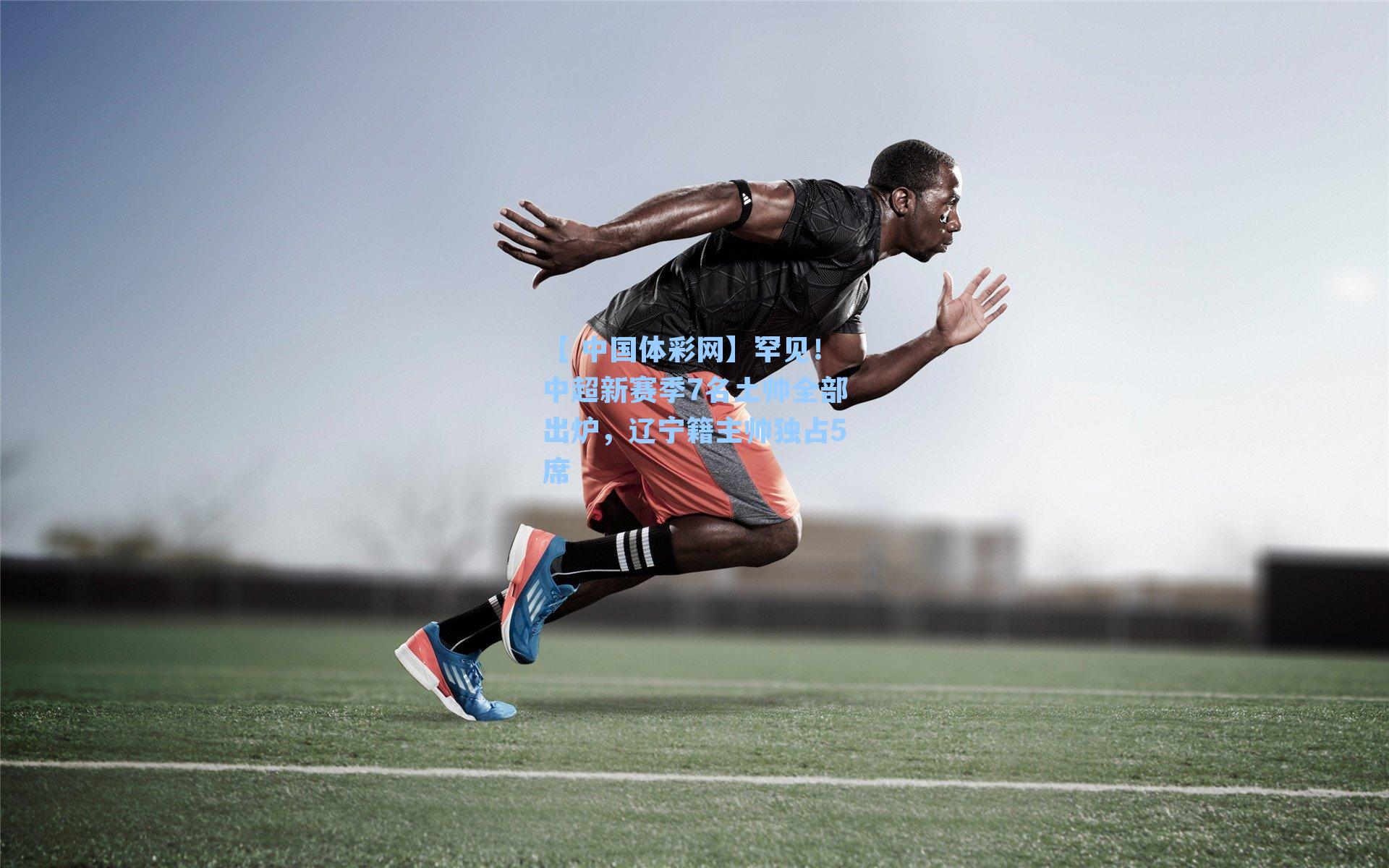 罕见！中超新赛季7名土帅全部出炉，辽宁籍主帅独占5席